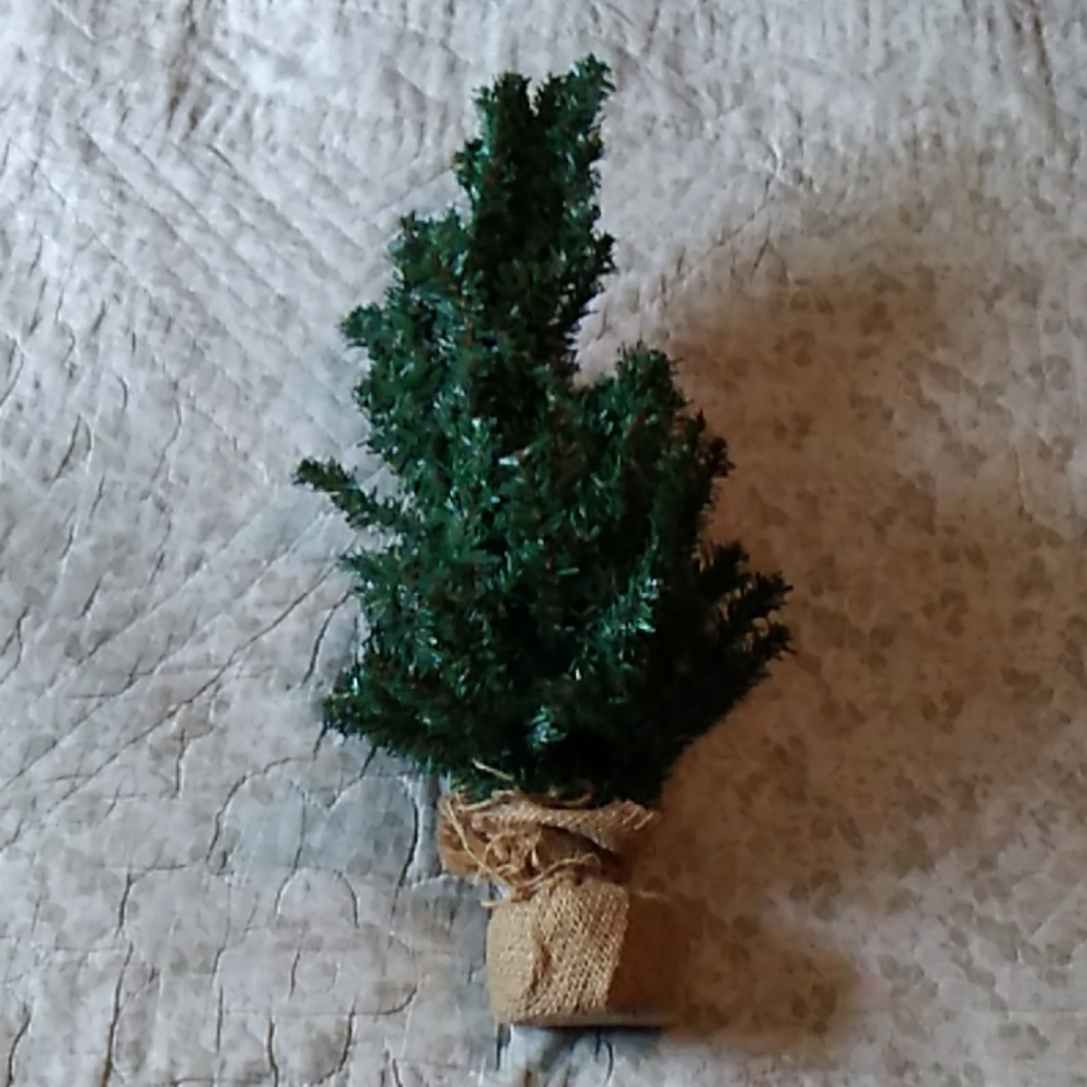 Mini Evergreen